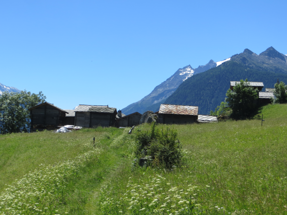 Das Bild zeigt das kleine Dorf Burgeren in der Gemeinde Törbel sowie die Sicht in Richtung Saasertal.